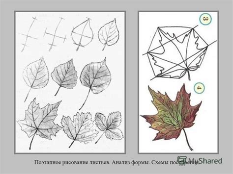 Завершаем рисунок: детали и окончательные штрихи
