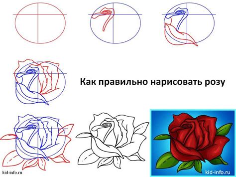 Завершение рисунка розы и фиксация