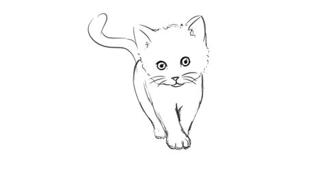 Завершите рисунок кошки