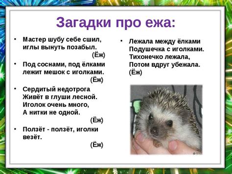 Загадка про приключения ежика в тумане