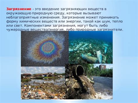 Загрязнение среды как причина изменения цвета панциря