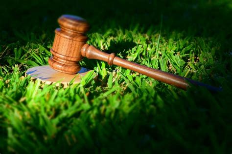 Законодательство и ответственность гадалок