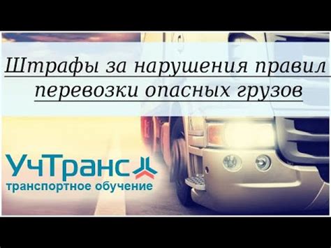 Законы и штрафы за нарушение правил вывоза ракушек
