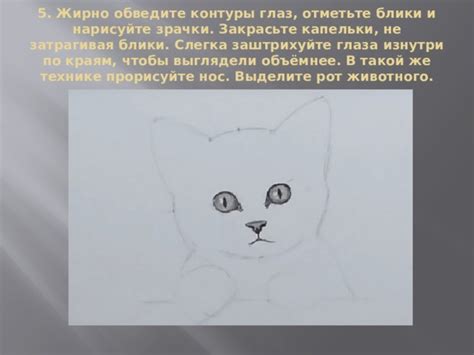 Закрасьте контуры лица и ушей