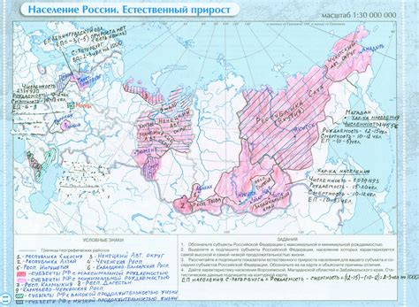 Закрасьте цветами