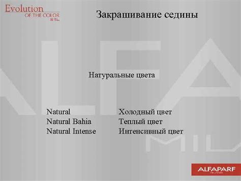 Закрашивание фонового цвета