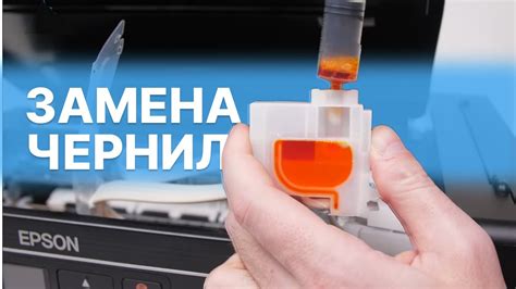 Замена прокладок в СНПЧ: необходимость и последовательность действий