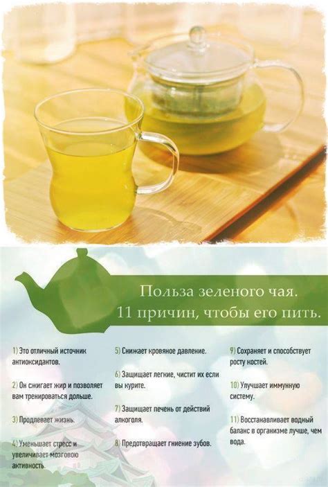 Замена чая чагой при похудении