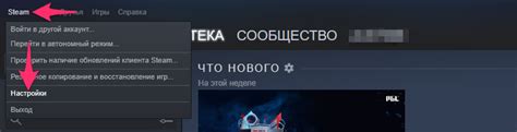 Запустите Steam и авторизуйтесь