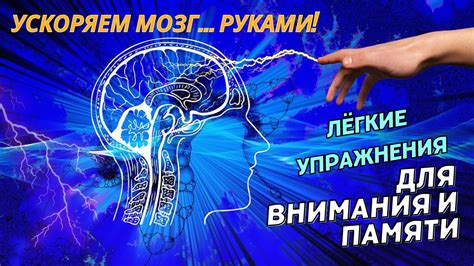 Зарядка для мозга: возвращение к умственным тренировкам