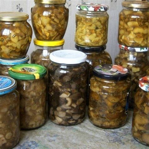 Засолка грибов