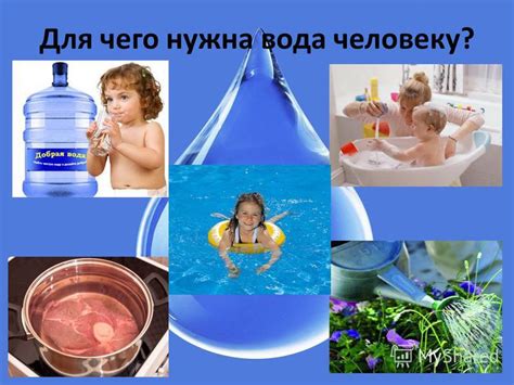 Зачем нужна инструкция для использования шампуня