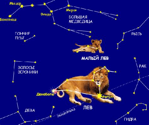 Зачем стоит увидеть созвездие Лев