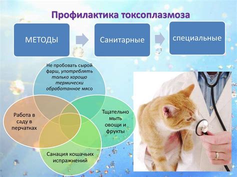 Защита от токсоплазмоза: важность прививки для кошек