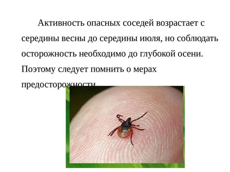 Защитные меры при обнаружении инфицированного клеща