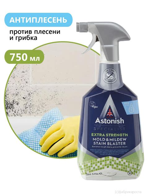 Защищаем себя от плесени и грибка