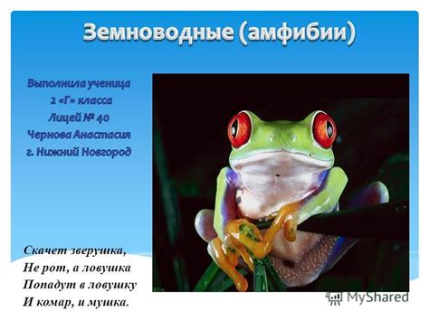 Зверушка готова: презентация и использование