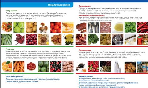 Здоровые альтернативы: продукты, рекомендованные при оксалатах
