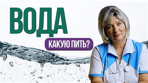 Здоровый выбор: какая вода лучше всего подходит для питания кошек
