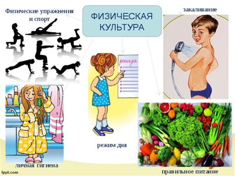 Здоровый режим и физические упражнения