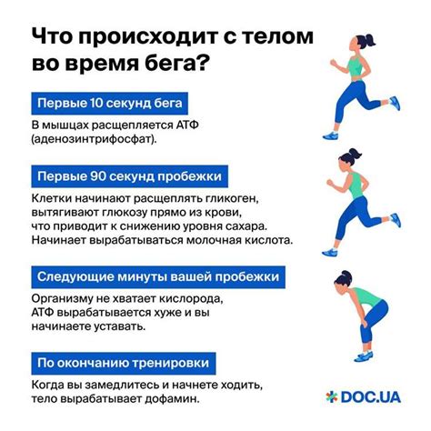 Здоровье и физическая форма
