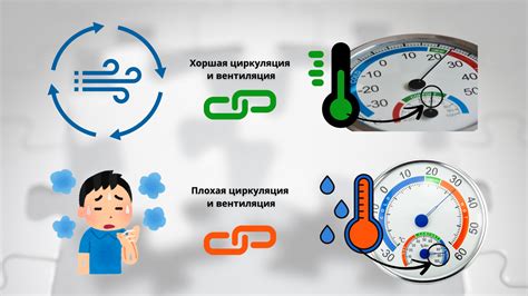Здоровье кошки зависит от правильной температуры