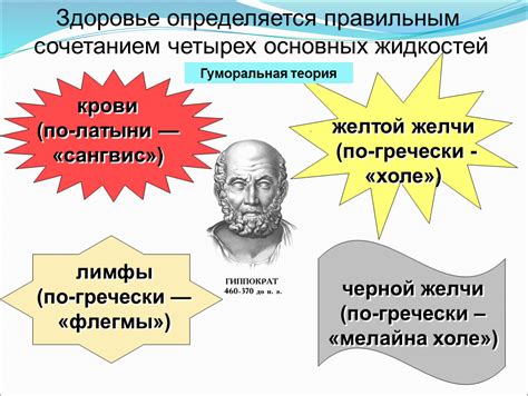 Здоровье организма зависит от чистой крови