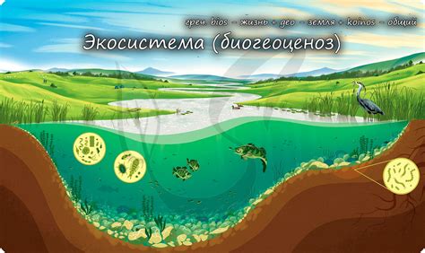 Зеленые друзья и экосистема