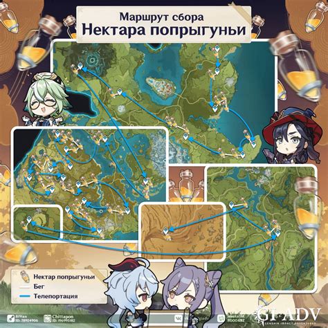 Зимние возможности для разведки и сбора ресурсов