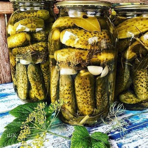 Знаки готовности маринованных огурцов