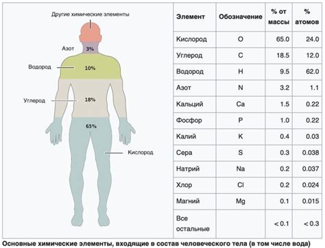 Значение Нвпань в организме человека