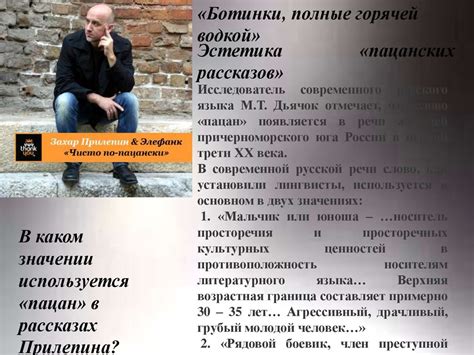 Значение Швейка в современной литературе