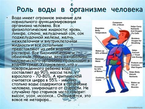 Значение гиалуронидазы в организме человека