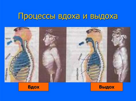 Значение глубокого вдоха