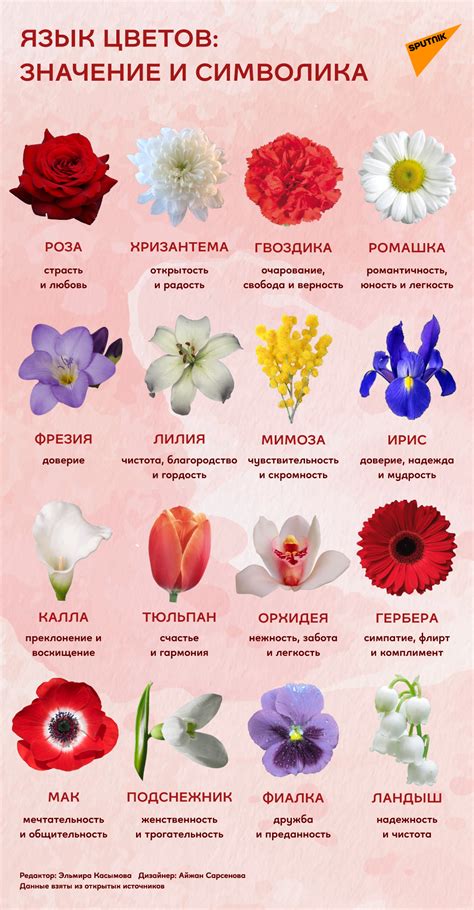 Значение и символика снежинок