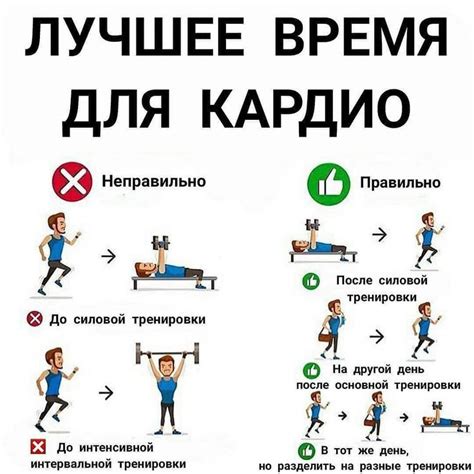 Значение кардиотренировок в борьбе со свисающим животом у мужчин