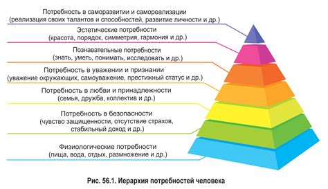 Значение коллективных потребностей