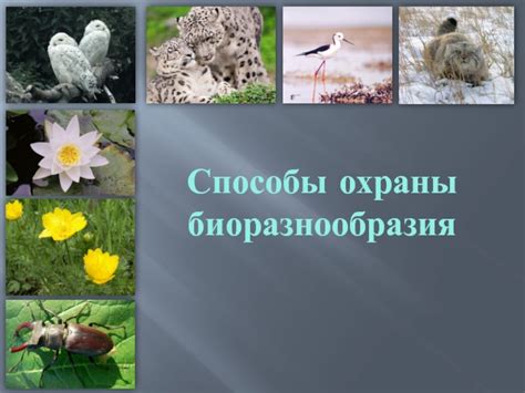 Значение охраны биоразнообразия