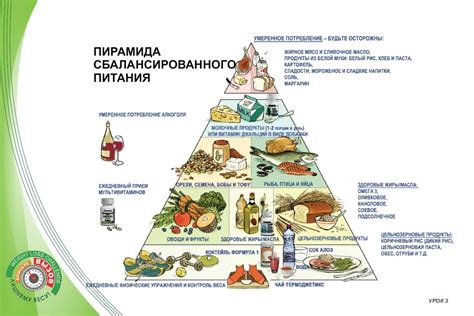 Значение питания для сердца
