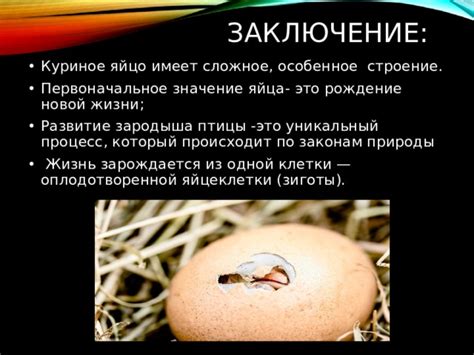Значение яйца в контексте сюжета и персонажей