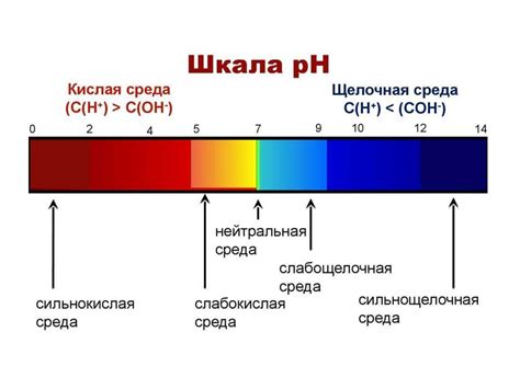 Значение pH-уровня