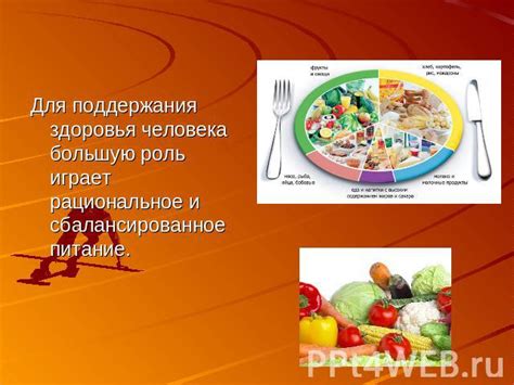 Значимость правильного питания в поддержании здоровья организма