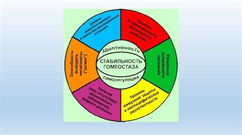 Зонирование и мультифункциональность