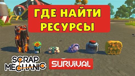 Играйте в режиме выживания