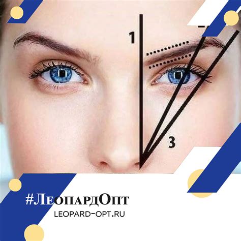 Идеальная форма бровей в домашних условиях: инструкция Apex Brows