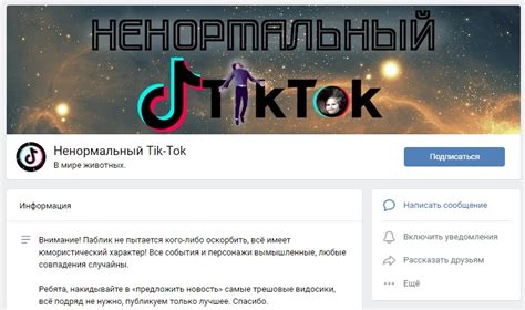Идеи для использования сохранённых видео из популярной соцсети