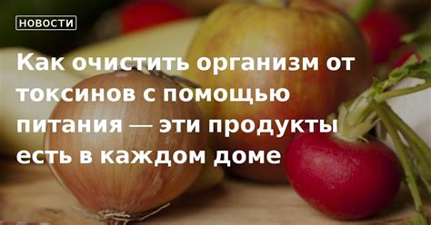 Избавление от токсинов с помощью правильного питания