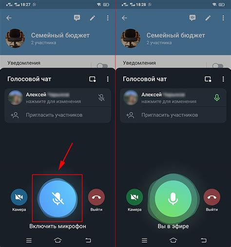 Избавление от эха и помех в голосовом чате