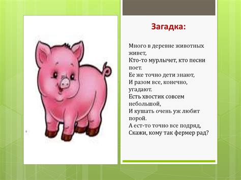 Избавляемся от досадной свиньи: 7 эффективных способов