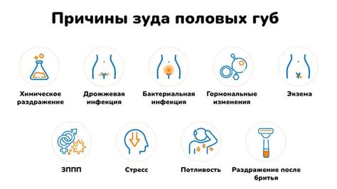Избавьтесь от неприятного зуда половых губ с помощью эффективных средств